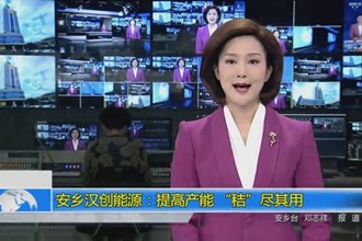 安乡汉创能源：提高产能 “秸”尽其用