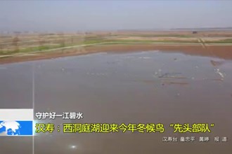 汉寿：西洞庭湖迎来今年冬候鸟“先头部队”