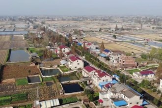 鼎城：农业产业发展良好 百姓口袋满满幸福满满