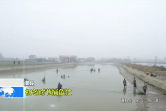 澧县：初冬时节捕鱼忙