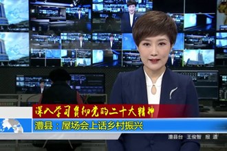 澧县：屋场会上话乡村振兴