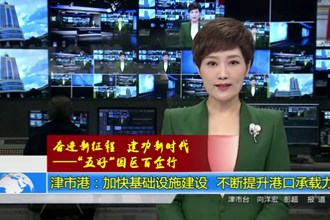 津市港：加快基础设施建设 不断提升港口承载力