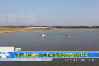 汉寿：打击非法捕捞 为冬候鸟栖息营造良好环境