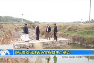 澧县：高标准农田建设夯实粮食生产基础