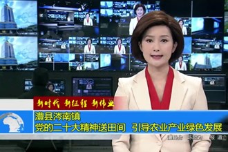 澧县涔南镇：党的二十大精神送田间 引导农业产业绿色发展