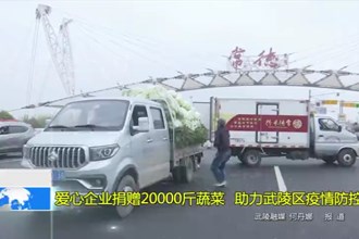 爱心企业捐赠20000斤蔬菜 助力武陵区疫情防控