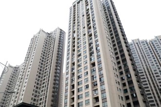 鼎城：志愿服务守护群众的健康“绿”