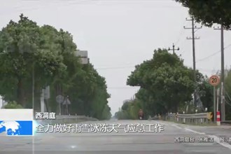 西洞庭：全力做好雨雪冰冻天气应急工作
