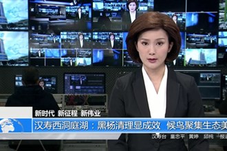 汉寿西洞庭湖：黑杨清理显成效 候鸟聚集生态美