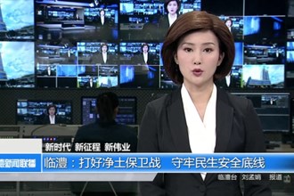 临澧：打好净土保卫战 守牢民生安全底线