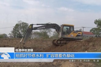 临澧停弦渡镇：抢抓时节修水利 扩容增蓄夯基础