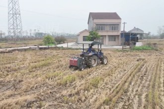 澧县城头山镇：推广秸秆综合利用 “生态包袱”变“绿色财富”