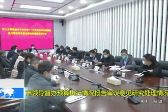 市领导督办预算执行情况报告审议意见研究处理情况