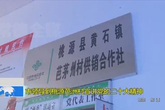 市领导到桃源芭茅村宣讲党的二十大精神