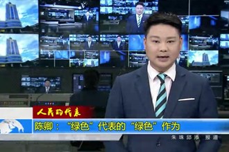 陈卿：“绿色”代表的“绿色”作为