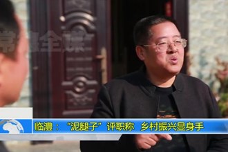 临澧：“泥腿子”评职称 乡村振兴显身手