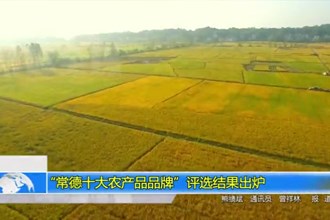 “常德十大农产品品牌”评选结果出炉