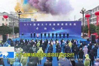 汉寿：太子庙集镇提质改造项目正式交付