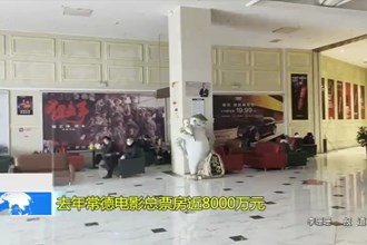 去年常德电影总票房近8000万元