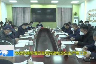 市领导调研澧县基层党建和安全生产等工作