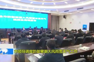 市领导调度防御寒潮大风雨雪天气工作