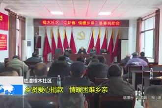 临澧樟木社区：乡贤爱心捐款 情暖困难乡亲