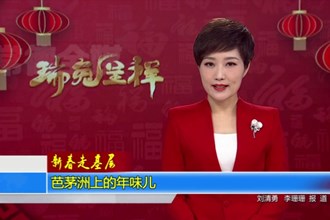 芭茅洲上的年味