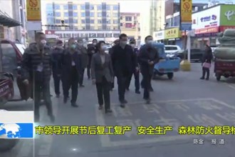 市领导开展节后复工复产安全生产、森林防火督导检查