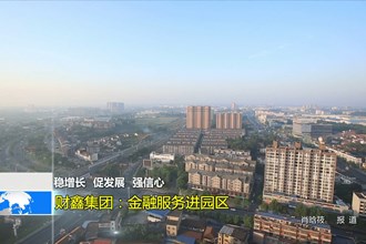 (稳增长 促发展 强信心)财鑫集团：金融服务进园区