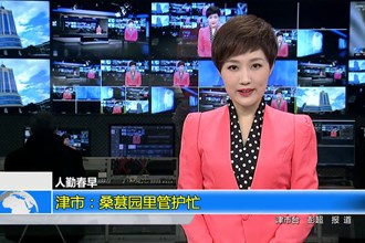 （人勤春早）津市：桑葚园里管护忙