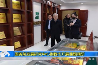 国务院发展研究中心到我市开展课题调研