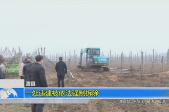澧县：一处违建被依法强制拆除