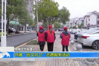 武陵芷兰街道：开展“创文巩卫”志愿服务活动