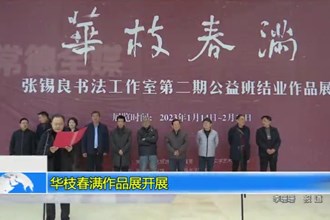 华枝春满作品展开展