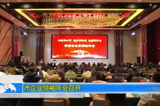 市企业领袖年会召开