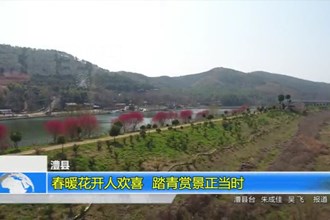澧县：春暖花开人欢喜 踏青赏景正当时