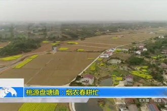 桃源盘塘镇：烟农春耕忙