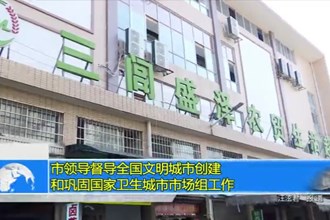 市领导督导全国文明城市创建和巩固国家卫生城市市场组工作