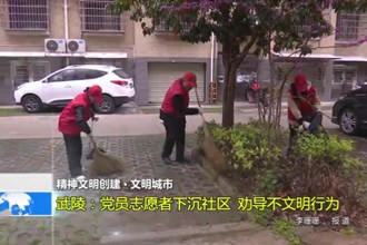 武陵：党员志愿者下沉社区 劝导不文明行为