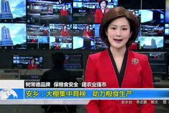 树常德品牌 保粮食安全 建农业强市(3.20)