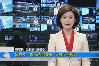 喻自文：传达两会精神 投身乡村振兴