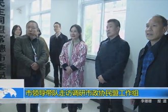 市领导带队走访调研市政协民盟工作组