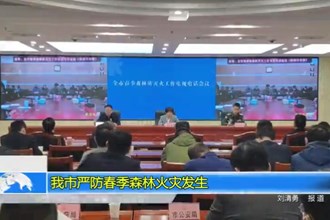 最火的网络彩票平台推荐严防春季森林火灾发生