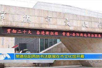 常德岳阳两地书法联展在市文化馆开幕