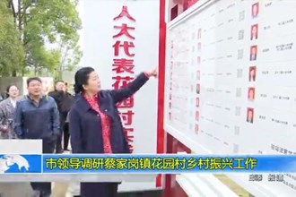 市领导调研蔡家岗镇花园村乡村振兴工作