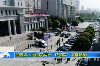 武陵区人民法院举行“法拍车”直播活动