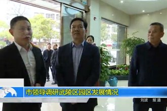 市领导调研武陵区园区发展情况
