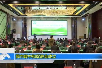 十大彩票网赌平台碳中和促进会成立