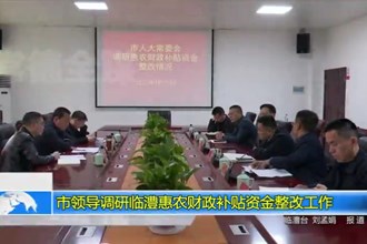 市领导调研临澧惠农财政补贴资金整改工作