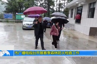 市广播电视台开展春季森林防火检查工作